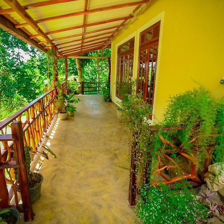 Happy Horizon Home Stay 埃拉 外观 照片