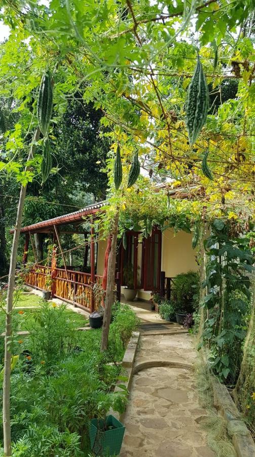 Happy Horizon Home Stay 埃拉 外观 照片