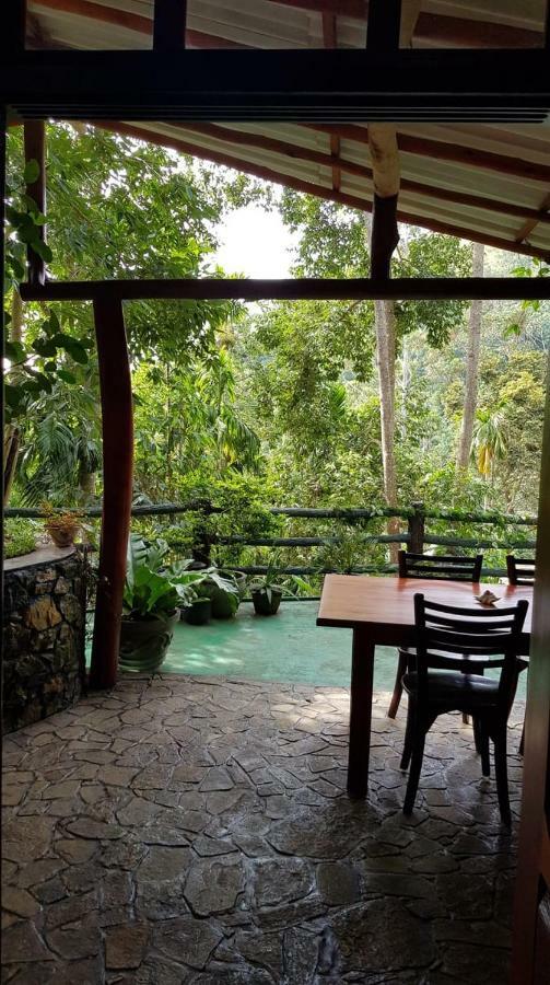 Happy Horizon Home Stay 埃拉 外观 照片